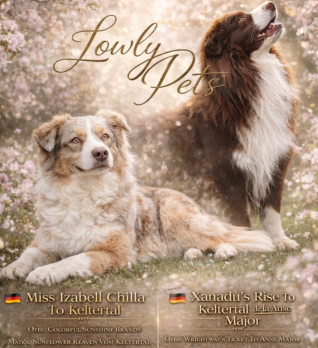 Vrh I